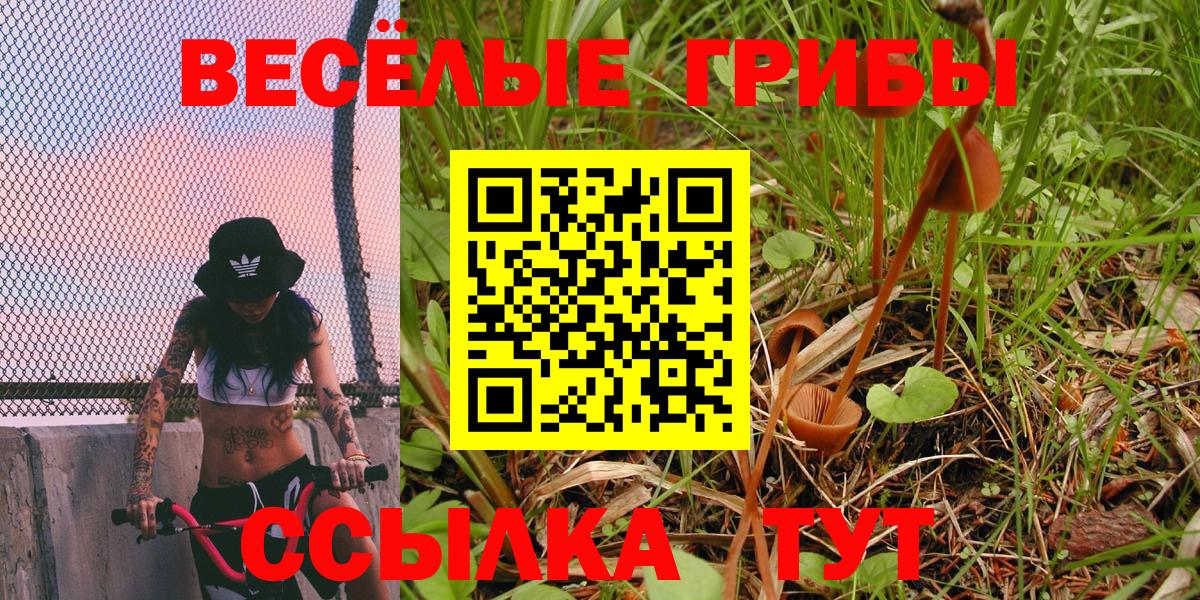 Псилоцибиновые грибы Psilocybine cubensis  Вход с VPN  Канаш 